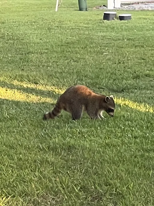 The Great Outdoors Nature, RV & Golf Resort Picture 4