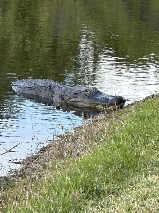 The Great Outdoors Nature, RV & Golf Resort Picture 8