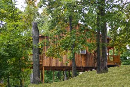 Dryden Bay Campground & Cabin Picture 8