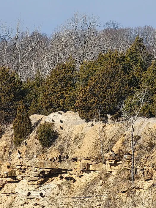 Hilltop Campground Picture 8