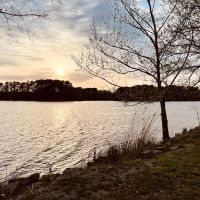 Bluegill Bay Marina & Campground ico