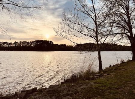 Bluegill Bay Marina & Campground