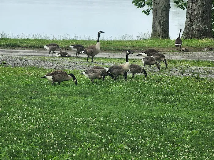 Crab Orchard Campground Picture 6