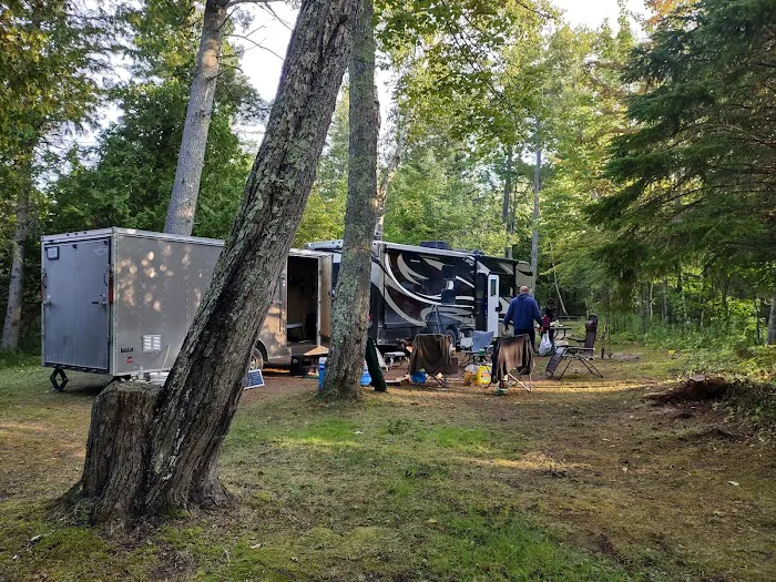 Hog Island State Forest Campground Picture 5