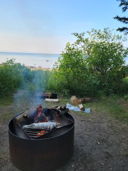 Hog Island State Forest Campground Picture 9