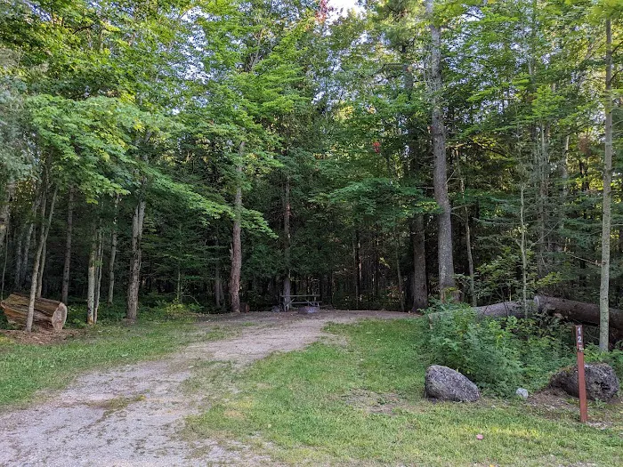 Black River State Forest Campground Picture 7