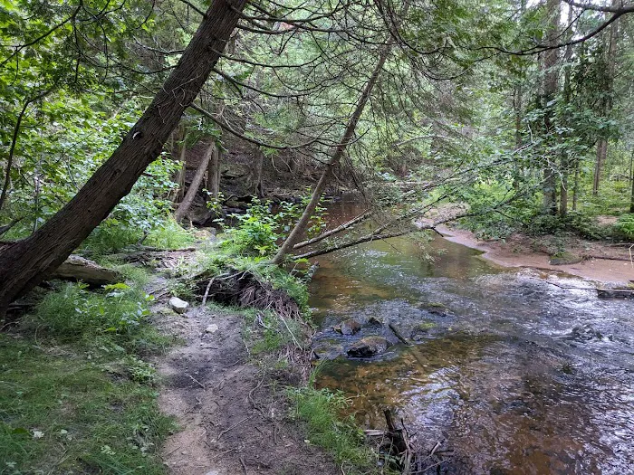 Black River State Forest Campground Picture 6
