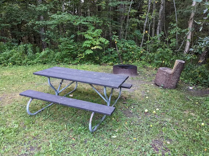 Black River State Forest Campground Picture 1