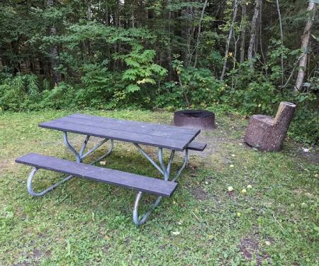 Black River State Forest Campground
