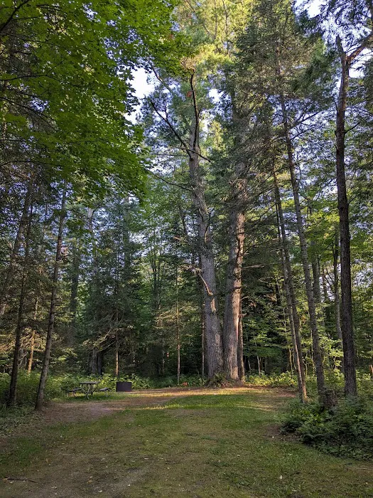 Black River State Forest Campground Picture 2