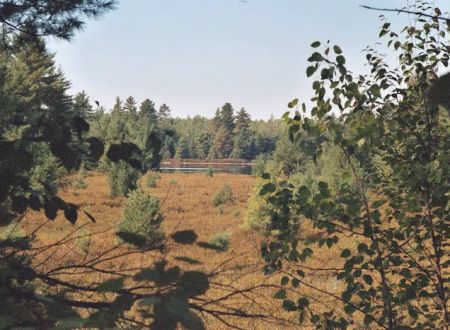 Three Lakes