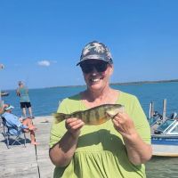 Cherokee Camp ico