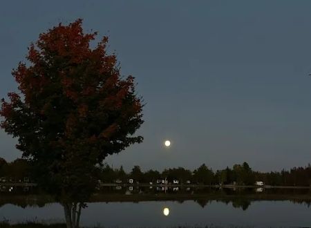 Clear Lake Campground