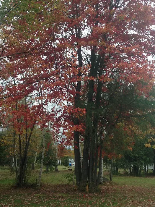 Clear Lake Campground Picture 2