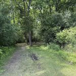 Group Campsite E