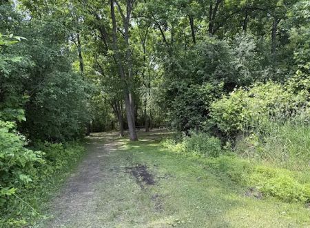 Group Campsite E