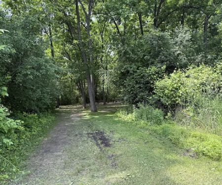 Group Campsite E