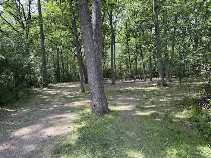 Group Campsite E Picture 3