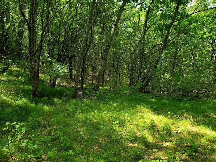 Scenic Ridge Campground Picture 8