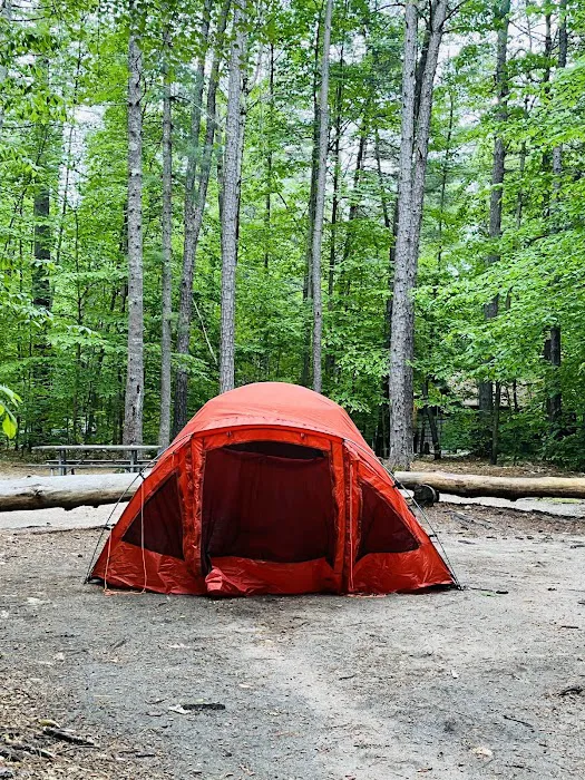 Whitewater Lake Campground Picture 2