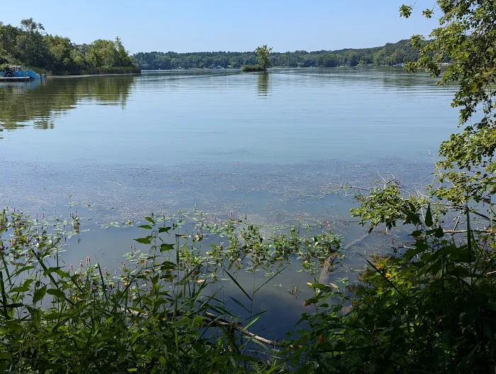 Whitewater Lake Campground Picture 5