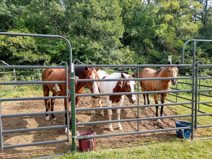 Horseriders' Campground Picture 1