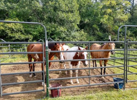 Horseriders' Campground