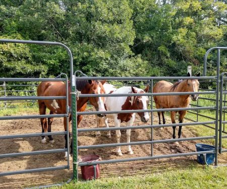 Horseriders' Campground