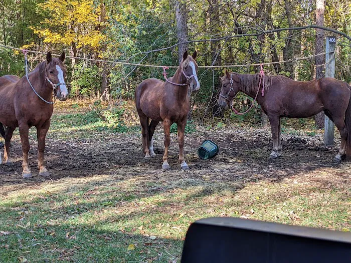 Horseriders' Campground Picture 3
