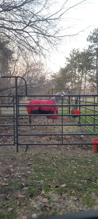 Horseriders' Campground Picture 9