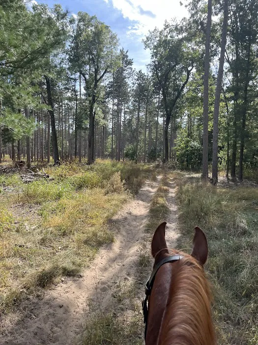 Horseriders' Campground Picture 8