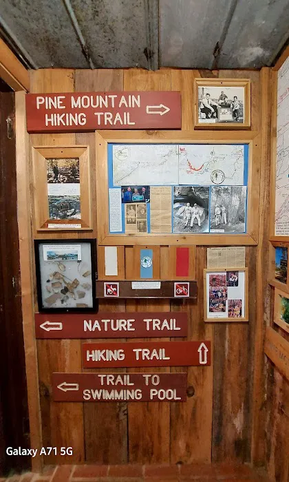 FDR State Park Pioneer Camping Picture 4