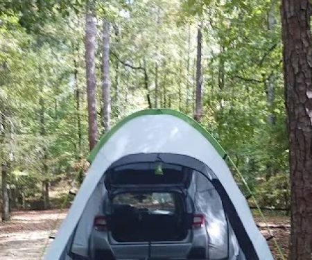 Pioneer Campsite #3