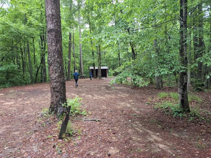Pioneer Campsite #3 Picture 8