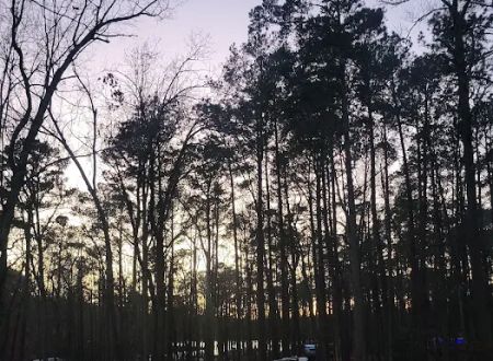 FDR State Park Campground