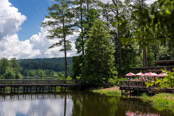 Pine Mountain RV Resort Picture 9