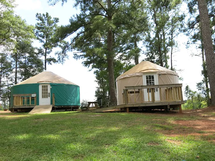 Pine Mountain RV Resort Picture 7