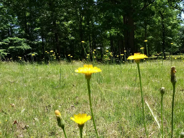 Atlanta West Campgrounds Picture 4