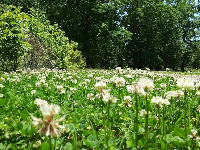 Atlanta West Campgrounds Picture 6