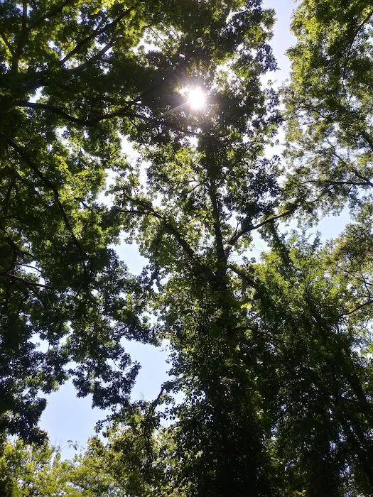 Atlanta West Campgrounds Picture 7