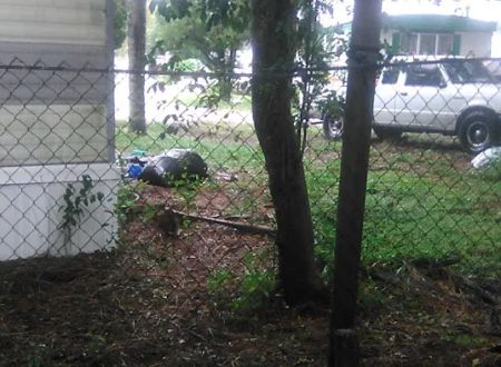 Halliday Village Mobile Home