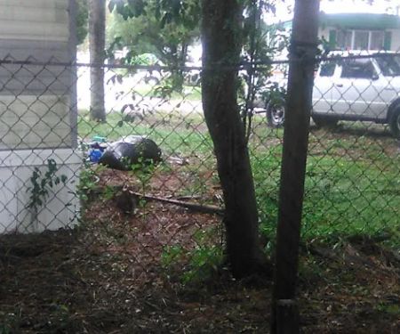 Halliday Village Mobile Home