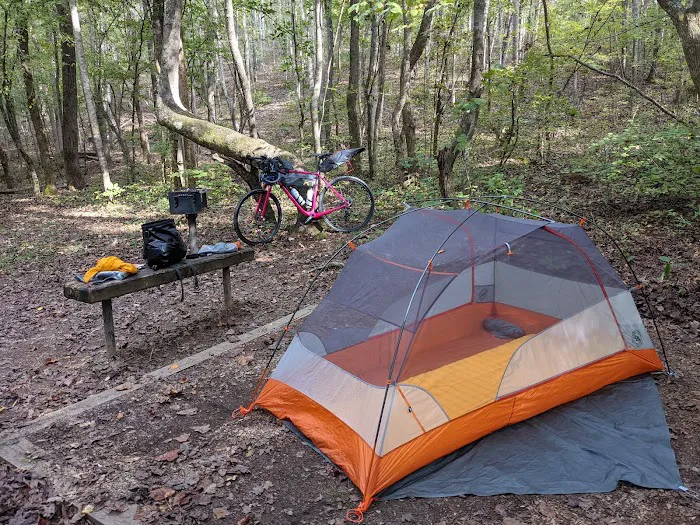 Camp Comet Picture 8