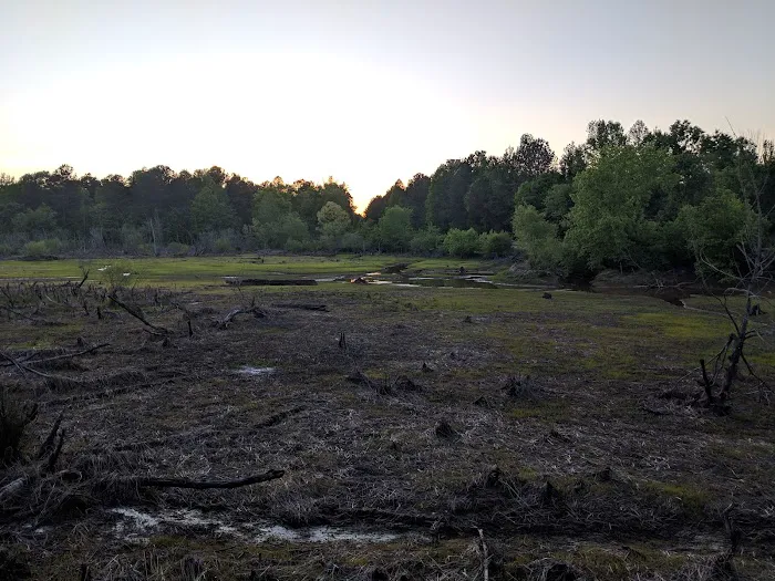 Camp Comet Picture 9