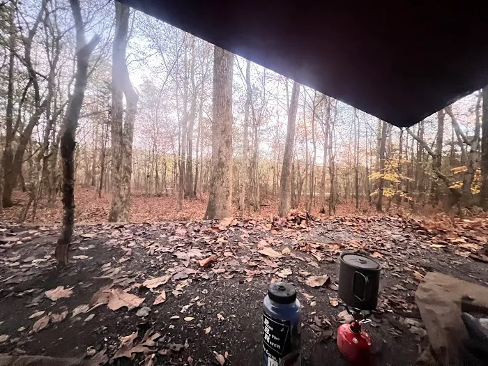 Camp Comet Picture 3
