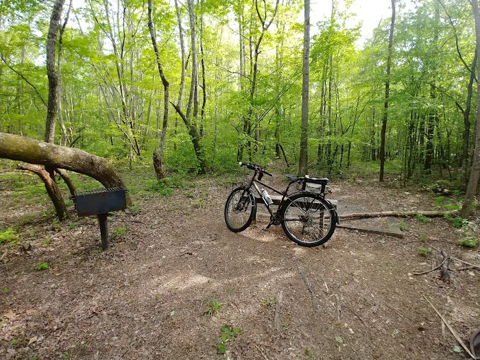 Camp Comet Picture 5