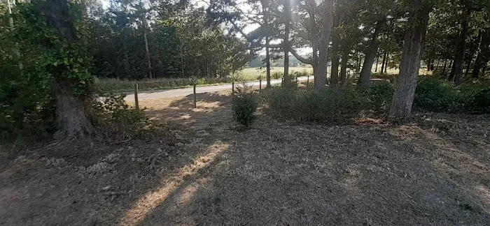 Lucky 7 Ranch Picture 2