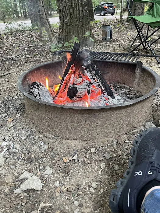 Timberline Glamping at Huntsville Picture 5