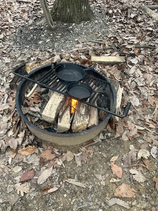 Timberline Glamping at Huntsville Picture 6