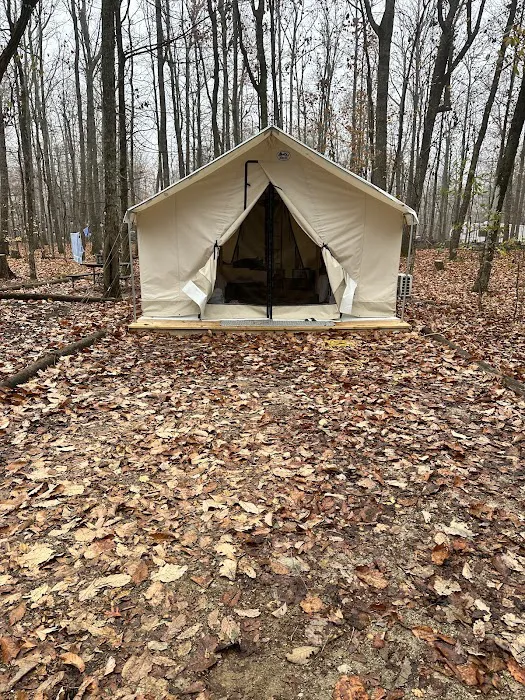 Timberline Glamping at Huntsville Picture 9